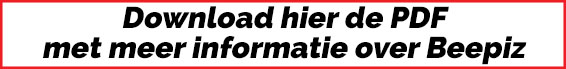 Beepiz PDF